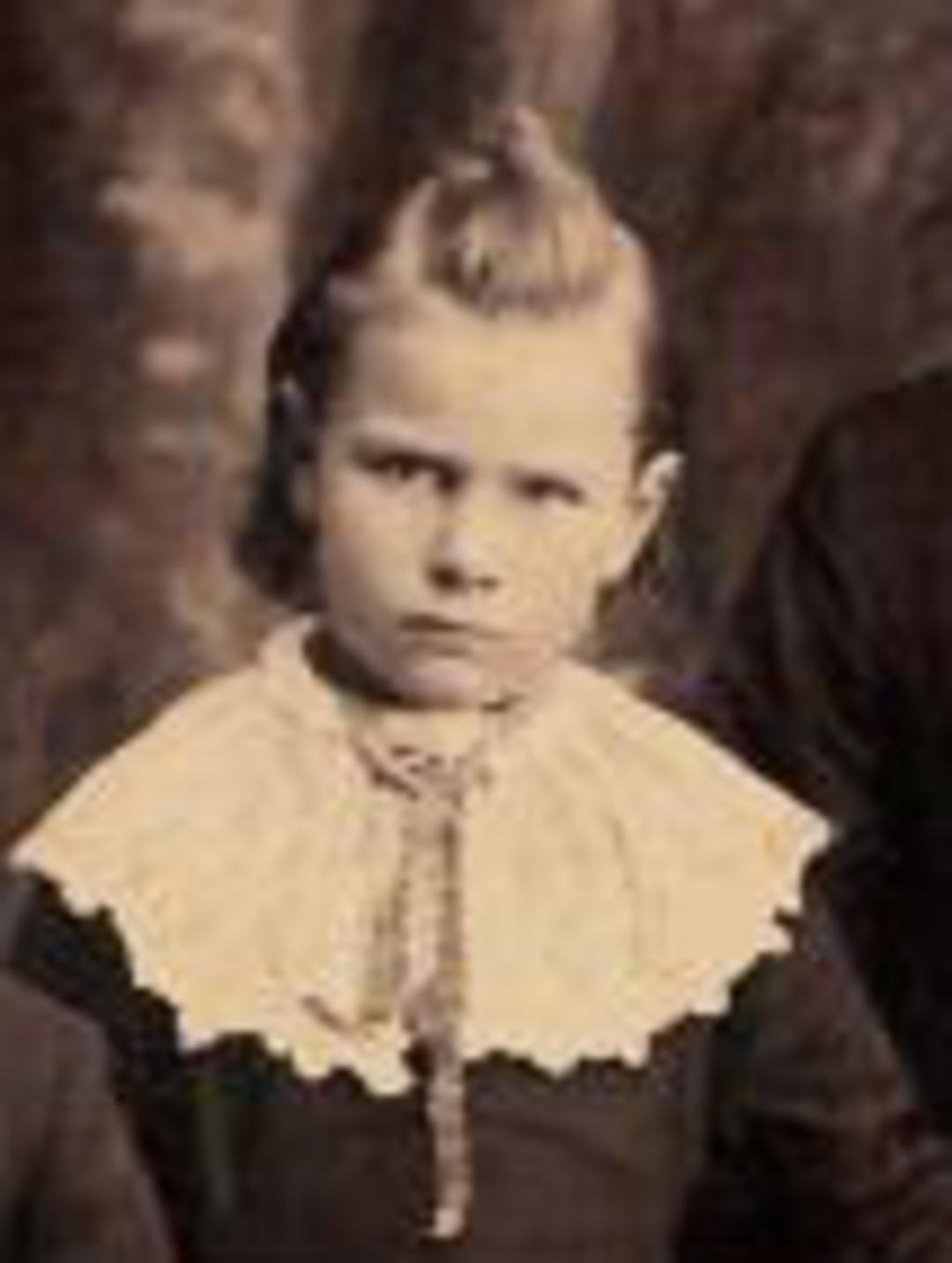 Sarah Lewis (1860 - 1882) Profile